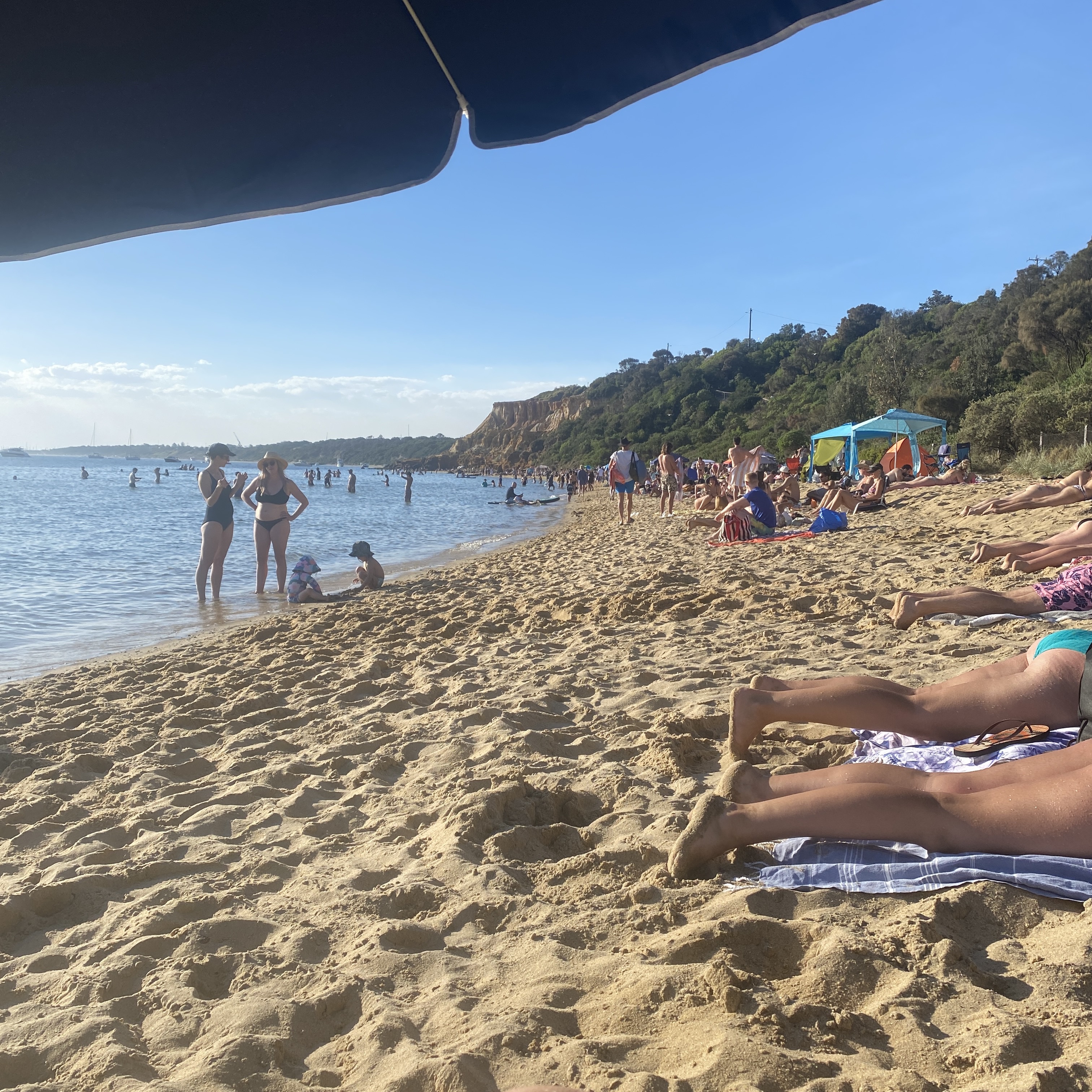 beach at half moon bay