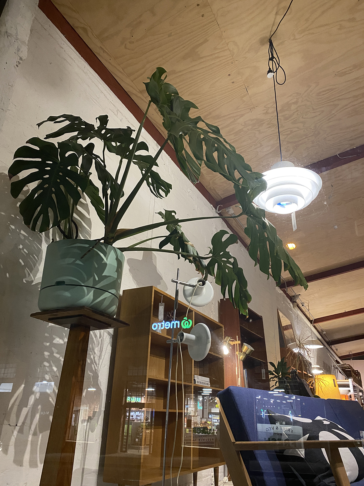 grandfather's axe on a winter night walk