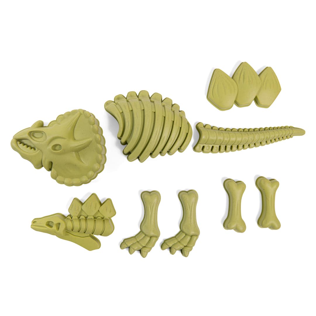 Aujourd'hui dinosaur beach toys