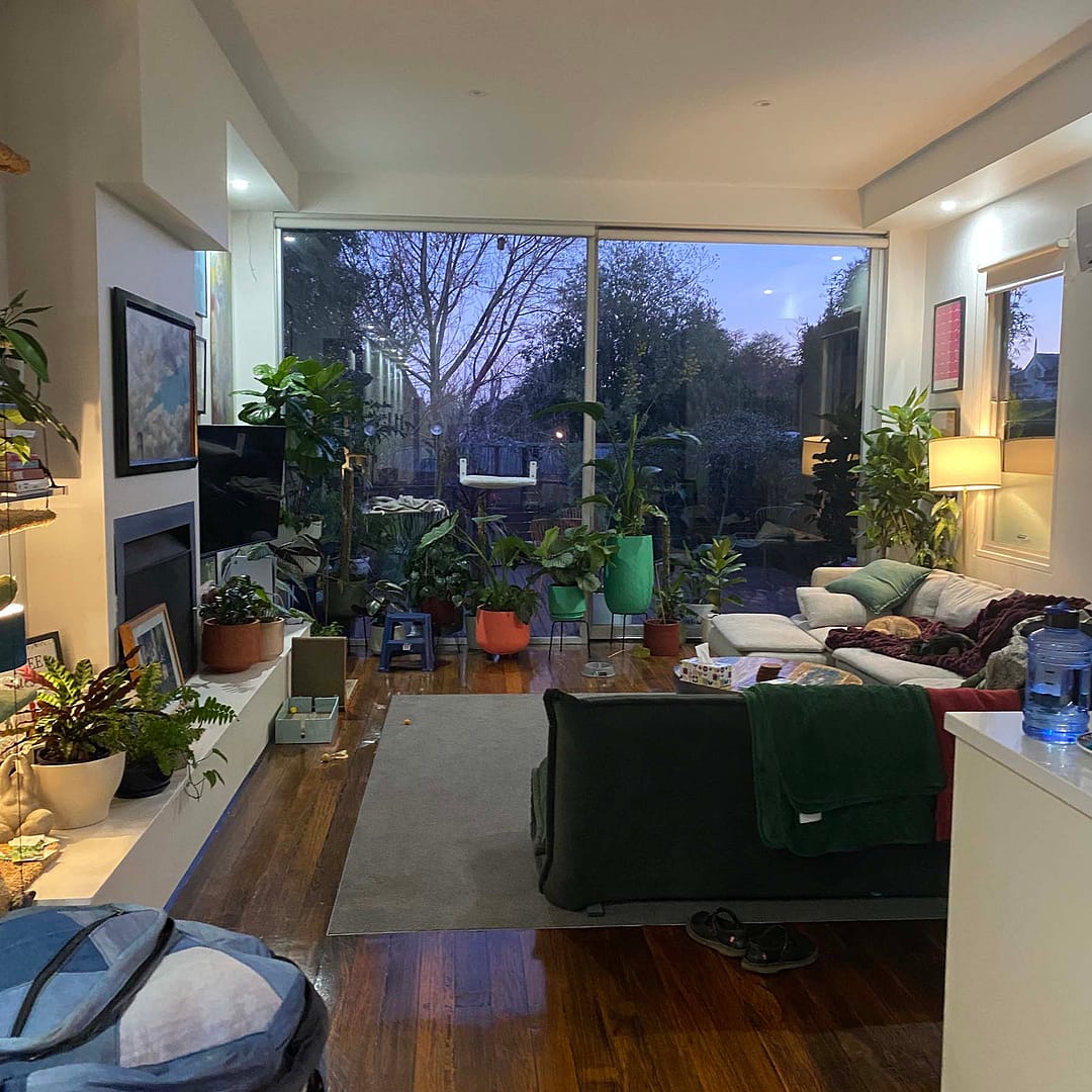 view through living room with couches and into a huge south facing window filled with plants (sitting in front of the glass) - two kitties are sitting on the couch