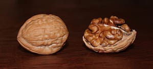 english walnuts in shell