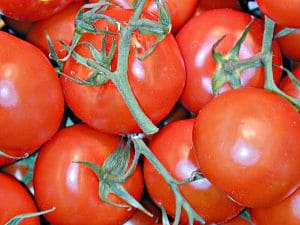 vine ripened tomatoes