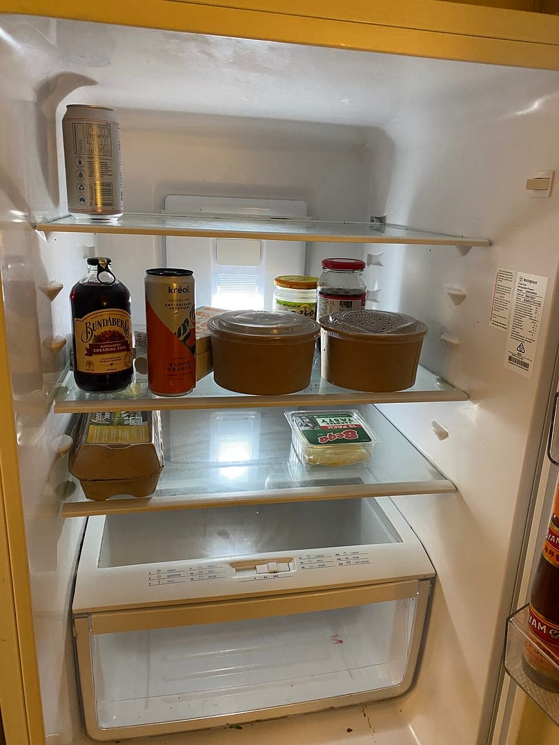 the food in the fridge - takeaway containers and other bits